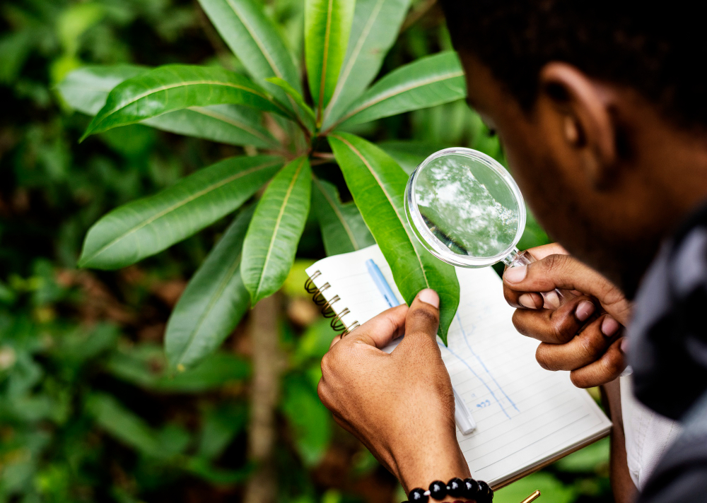 Environmental Audits (EA) 