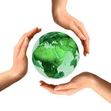 Strategic Environmental Assessment (SEA)